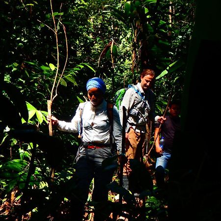 Amazon Acai Lodge Leticia Bagian luar foto