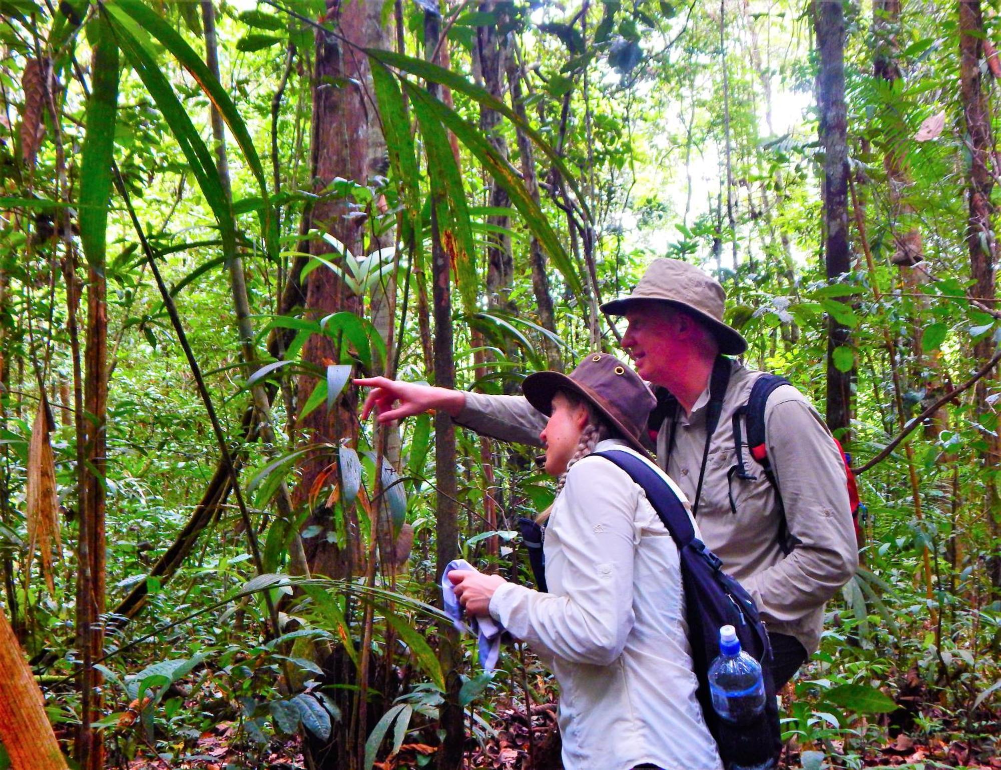 Amazon Acai Lodge Leticia Bagian luar foto