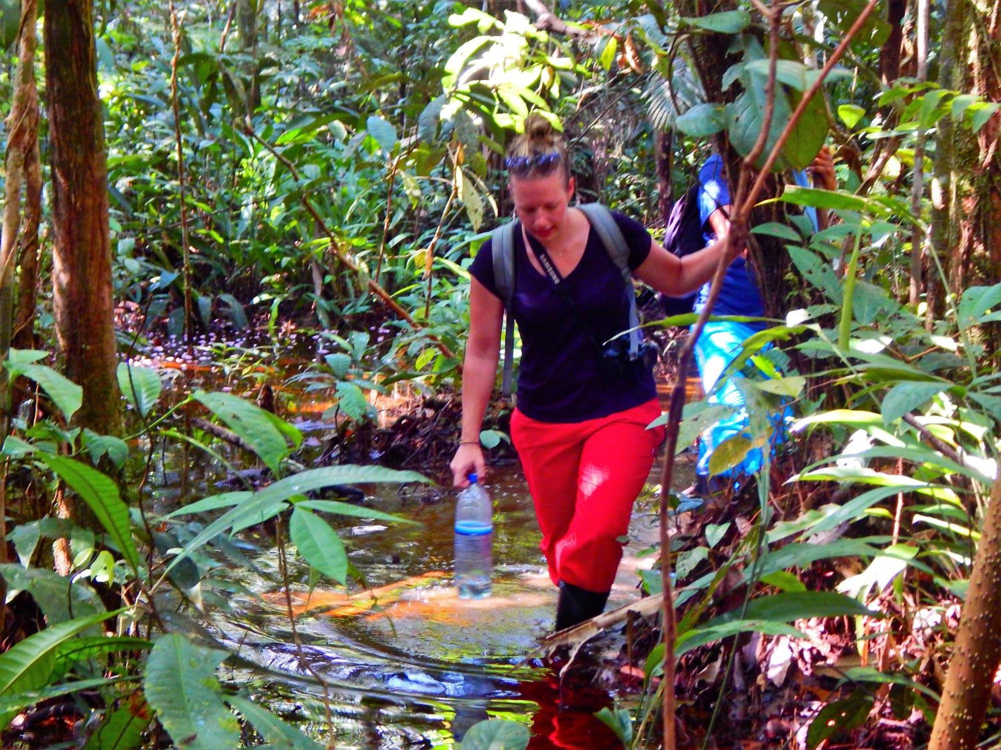 Amazon Acai Lodge Leticia Bagian luar foto