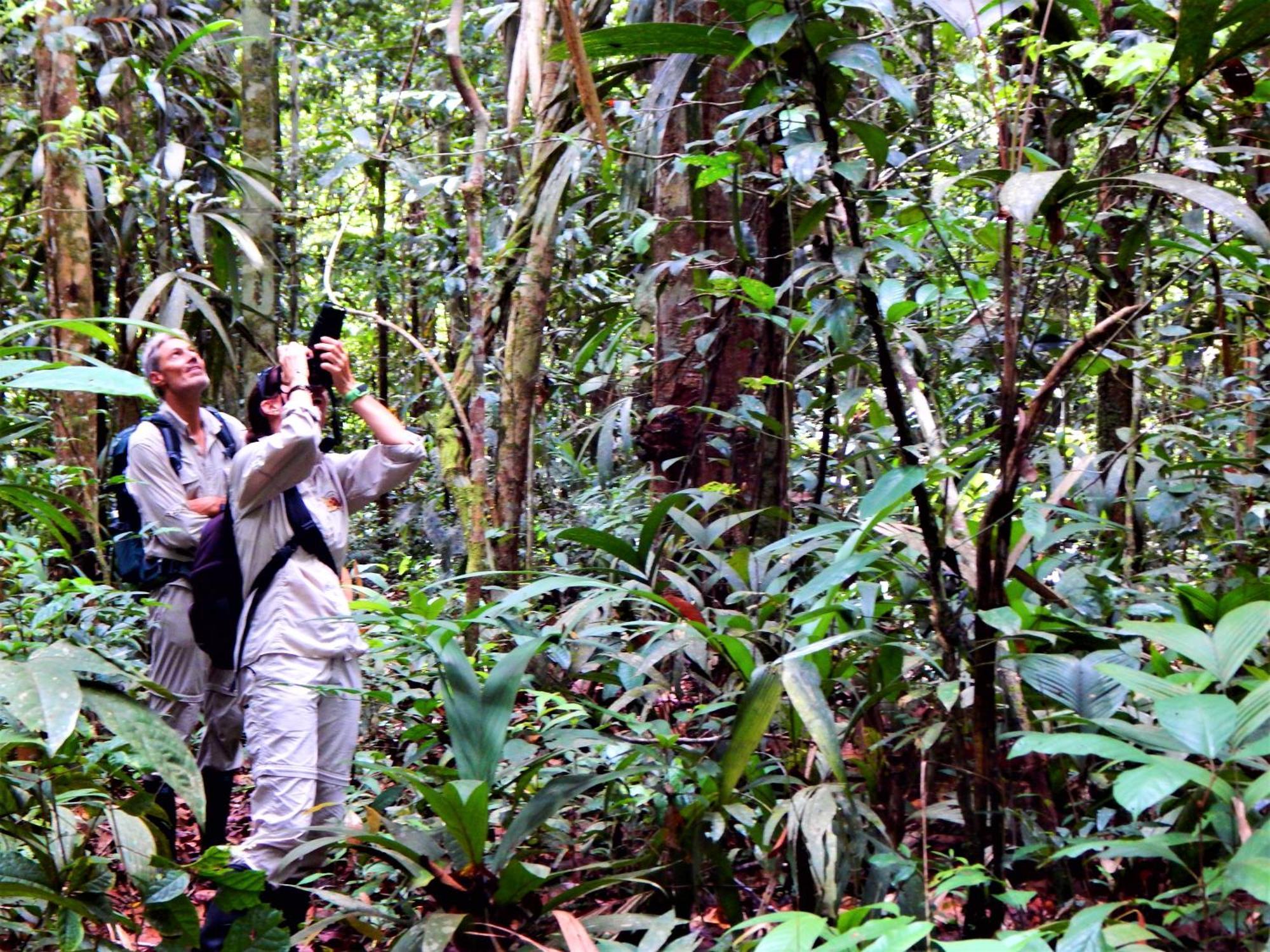 Amazon Acai Lodge Leticia Bagian luar foto
