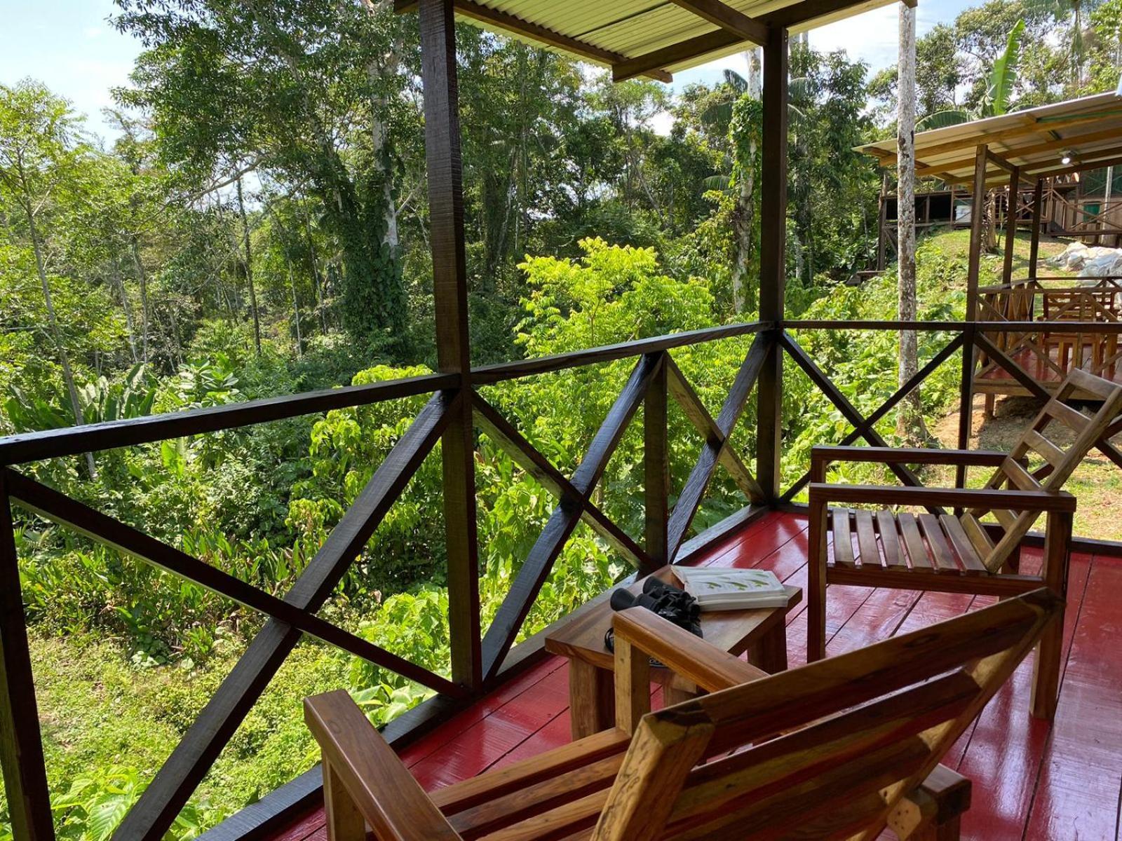 Amazon Acai Lodge Leticia Bagian luar foto