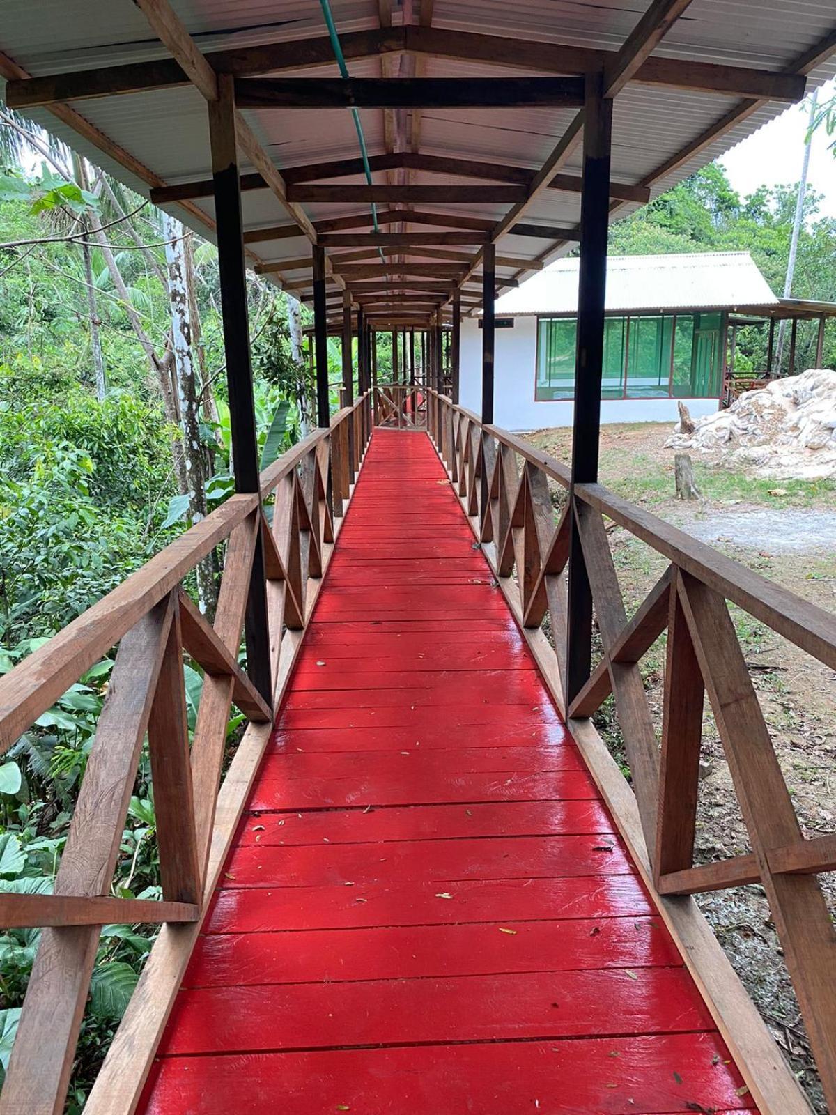 Amazon Acai Lodge Leticia Bagian luar foto