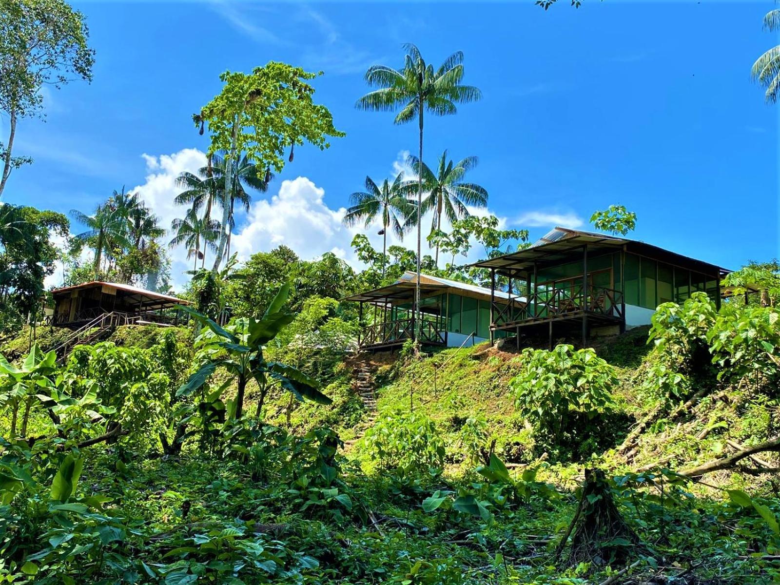 Amazon Acai Lodge Leticia Bagian luar foto