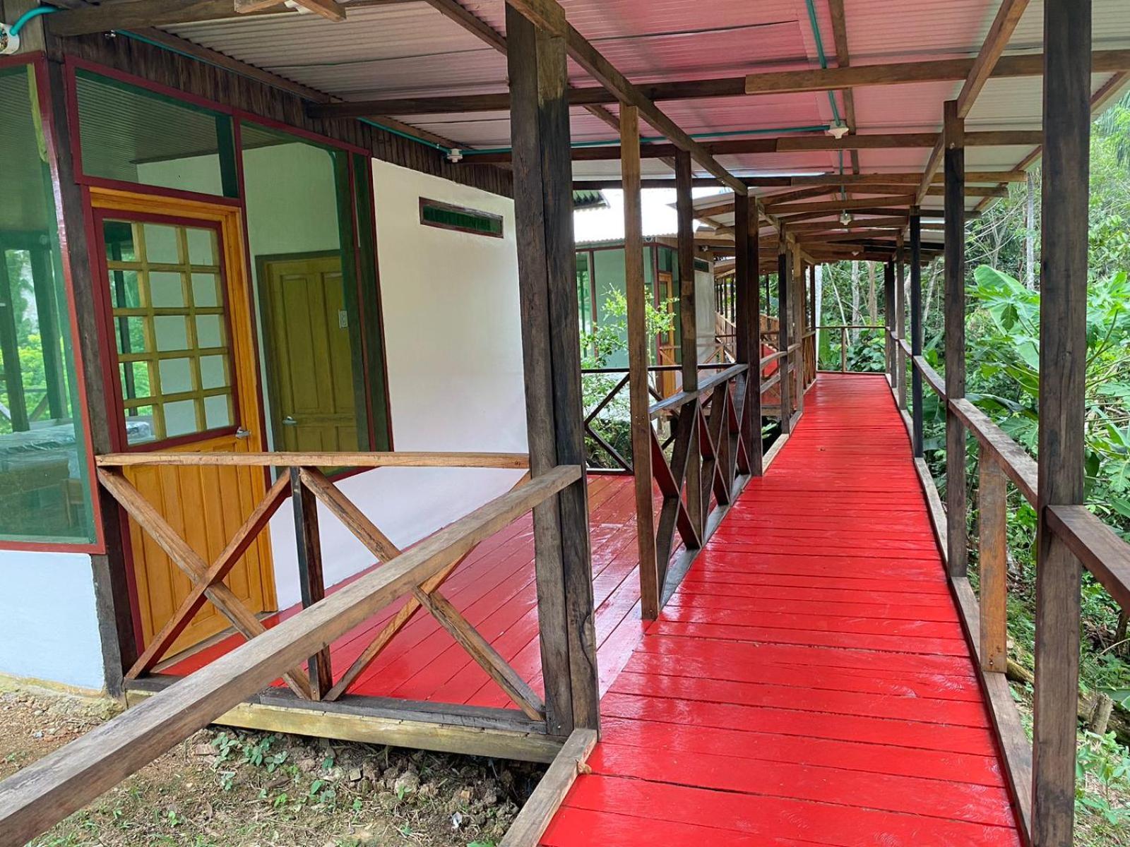 Amazon Acai Lodge Leticia Bagian luar foto