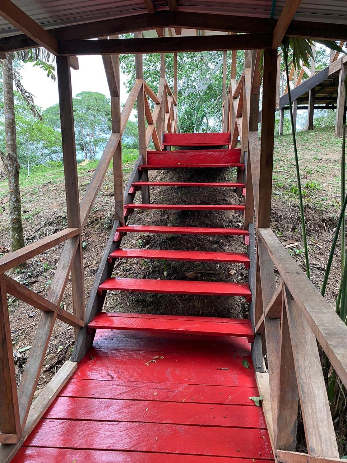 Amazon Acai Lodge Leticia Bagian luar foto