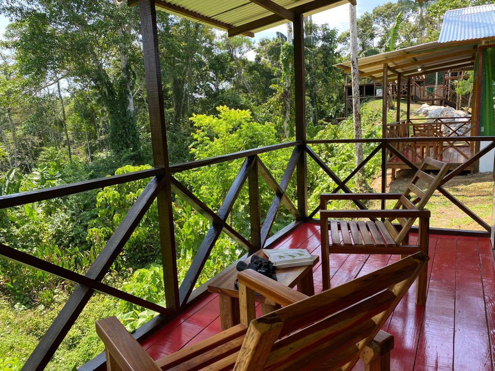 Amazon Acai Lodge Leticia Bagian luar foto